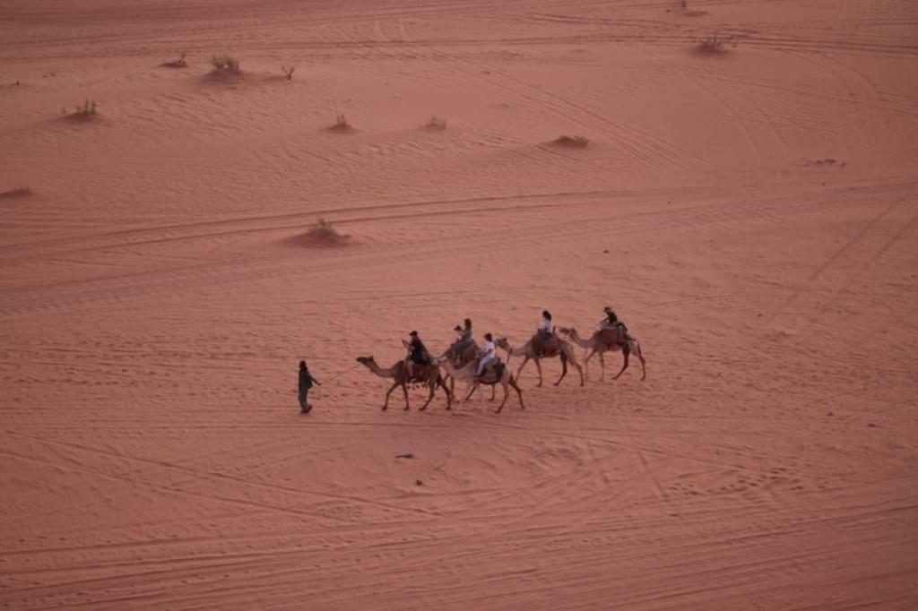 Wadi Rum-Bedouin Tents And Jeep Tours Exterior foto